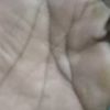 jumbosetonogodeg
