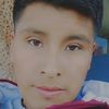 cristianmamani438
