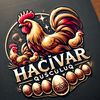 qusculuq_hacivar