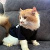 flowerpurr27