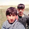 jamalmayan