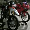 crf.174