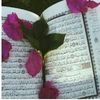 www.alamira7