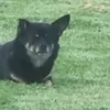 dan109472