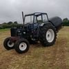 bigmannewholland