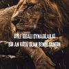 can_szm