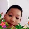 teodeptraiii