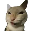 _bicarbonatodeodio