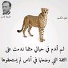 dyn0tqc8o5u7