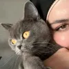 taybat2004
