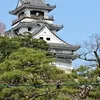 ryo_coco557