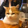 Petz Moments