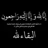 hebaarabi342