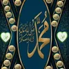 user75754015079203
