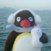 inoxo_neo