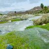 abu_khaled79