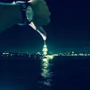 khaled9979