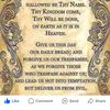 lillady_42