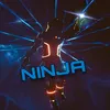 dark_ninja_2.0