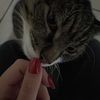 anne.simonsen0