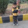 shareenwazir