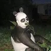 nntgvvntg_5242145