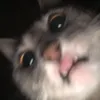 .dumpjsjsjsjshshs