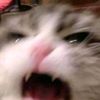 jjukyuminz