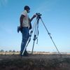 sham_rock69