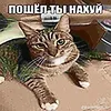 ebatsosynok