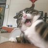 mhmdnabil_19
