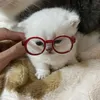 kit_socute