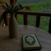 hajer4443