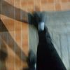 giho_0hig