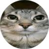nogan_p