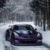 car_guy_from_denmark
