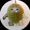 vietcuongww