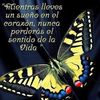 marianmaydelirive