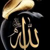 user3506002193156