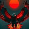 abu_shalan711
