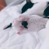 danielaentrelibros19
