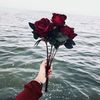 ayaahmad4297