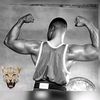 brafii_5