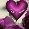 dy7847nk4szw