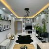 monimtlm580