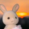 _user2424241