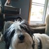 bellsboo06