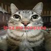 xd__carlos