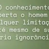 monicamileer