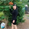phng.m.3.con